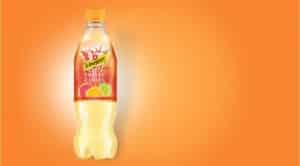 schweppes-fruity-citrus-getränke-test