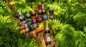 rothaus_biere_schwarzwald_02