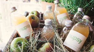 nupsy-bio-apfel-heu-schorle