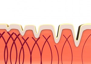 Fulminan verlängert den Alterungsprozess