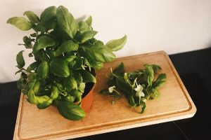 Mazzetti-l'originale03